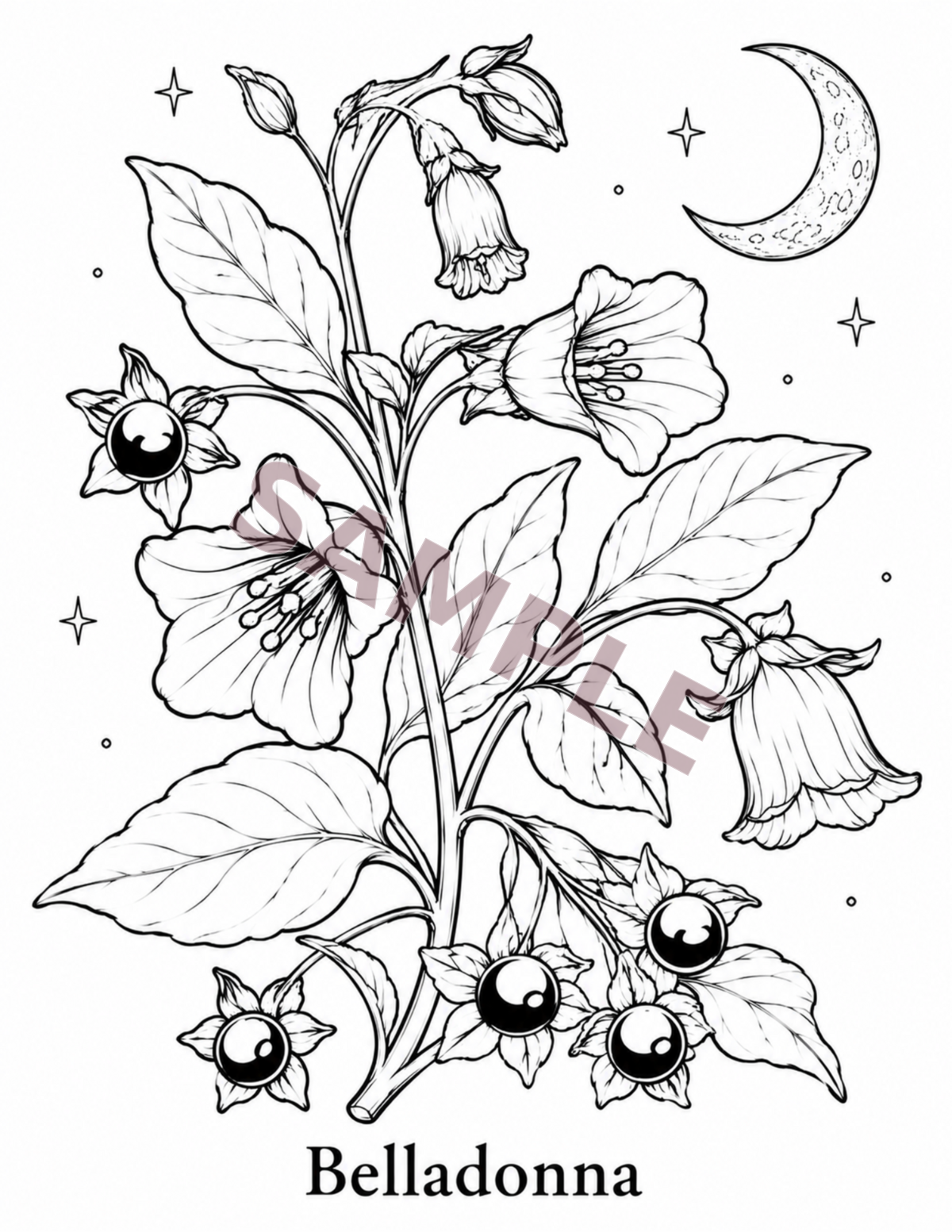 Botanicals & Moonlight interior sample page 1