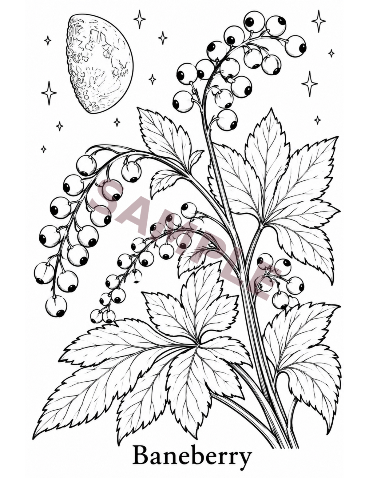 Botanicals & Moonlight interior sample page 3